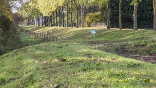 Omgeving met bomen en gras