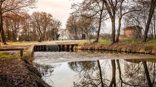 Vuilvangdrijflijn Griendtsveen