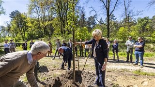 Feestelijke opening door een plant te poten