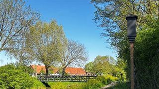 Vleermuispalen