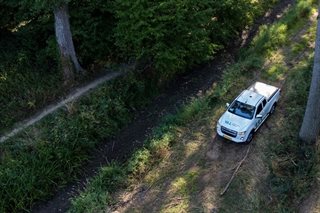 Droogte in bossen