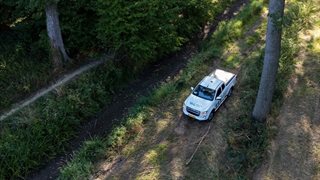 Droogte in bossen