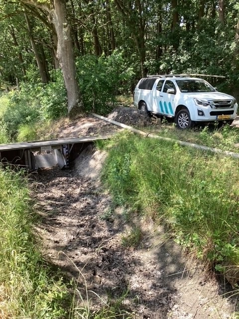 Droogte in bossen