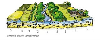 Infographic met vijf zones van een beekdalbrede inrichting