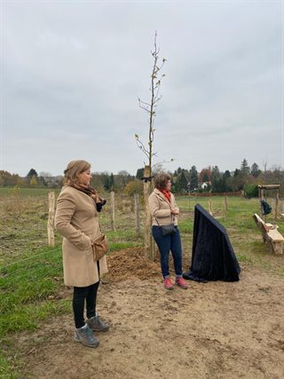Wachten op onthulling bank