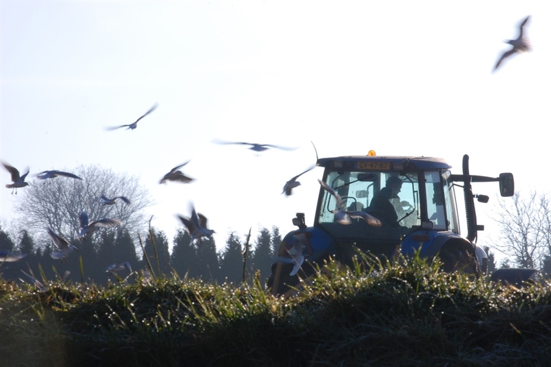 Boer in tractor op land - foto Natacha Gelissen