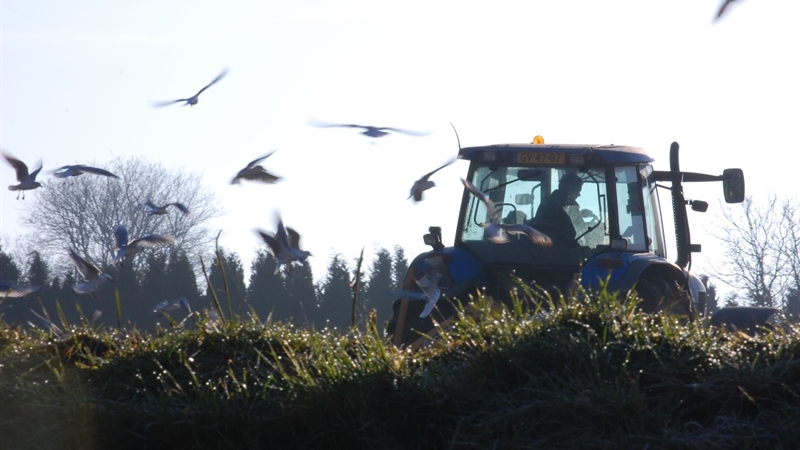 Boer in tractor op land - foto Natacha Gelissen