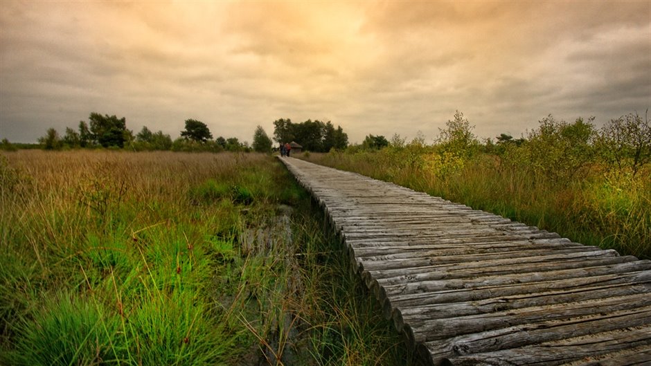 Peel-Knuppelbrug-zijkant-03693-300dpi