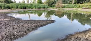 Mintepoel tijdens droogte op 12 juli