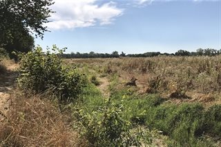 Landschap