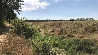 Landschap