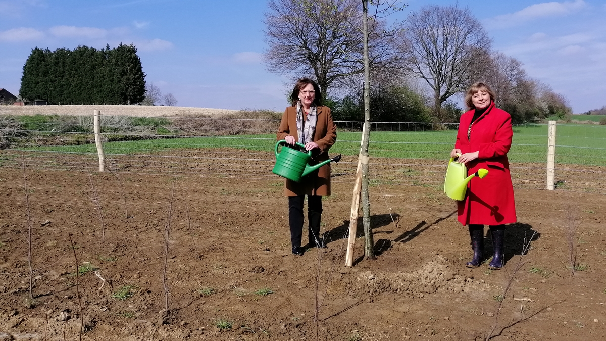 Waterschap klaar met eerste fase aanpak wateroverlast Oirsbeek
