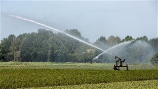 Beregenen tijdens droogte