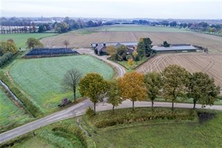 Weilanden en akkers