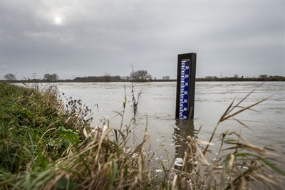 Peilschaal langs de Maas