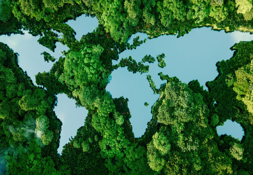 wereldkaart als water en bomen