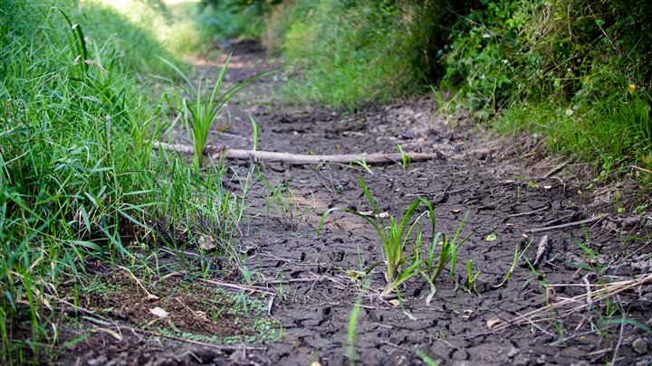 Drooggevallen beek -Midden-Limburg-Middelsgraaf