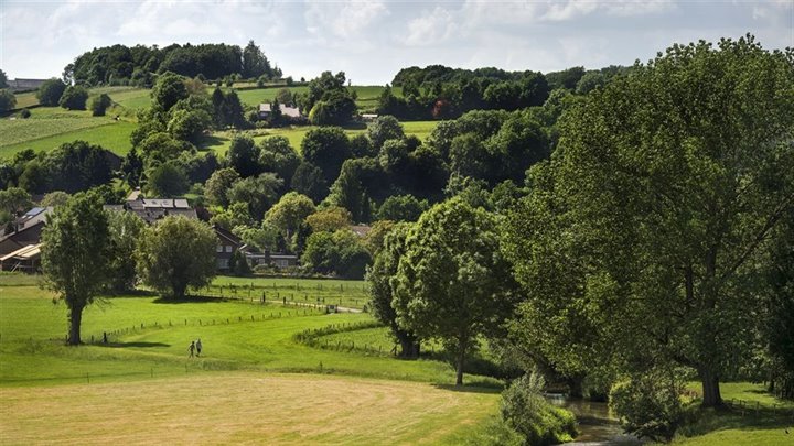 Beekdal-bij-Wijlre-