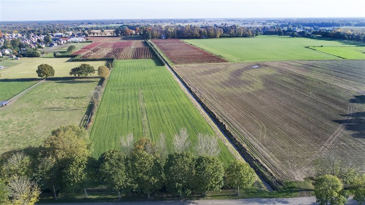 Gebied Groene Rivier Well