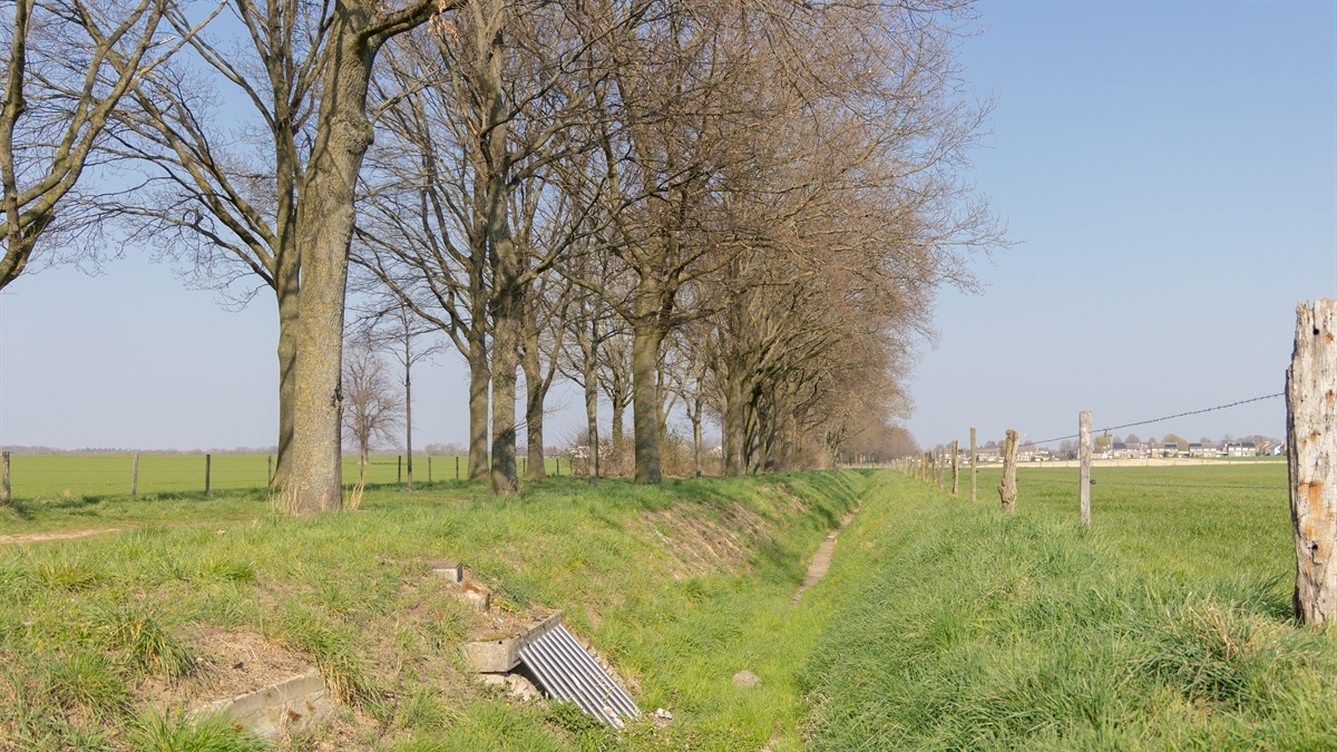 Informatiebijeenkomst Aanpak wateroverlast Einighausen