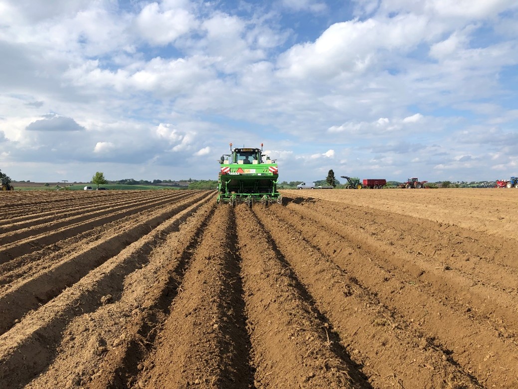 Rugopbouw aardappelen 1