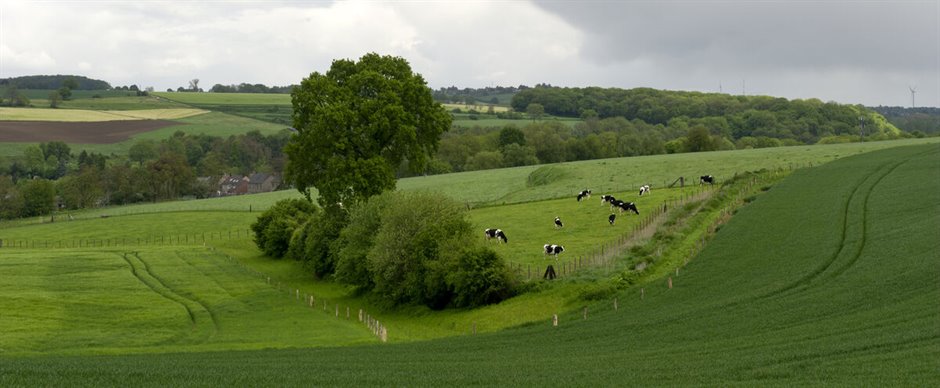 Grasbaan-Gulpen-Wittem