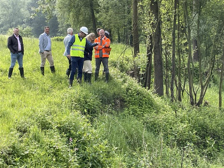 DB Schinnen Afkalving